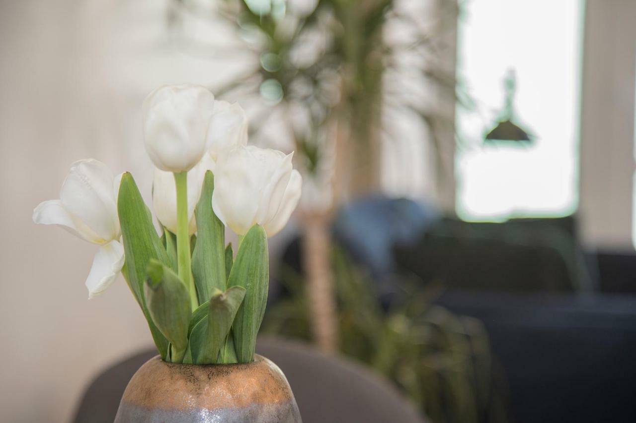 Liiiving In Porto - Cozy & Chic Downtown Leilighet Eksteriør bilde